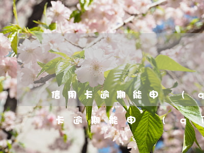 信用卡逾期能申請(qǐng)抹掉嗎(信用卡逾期能申請(qǐng)抹掉嗎)