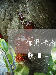 信用卡逾期能申請(qǐng)本金分期還款嗎-信用卡逾期能申請(qǐng)本金分期還款嗎