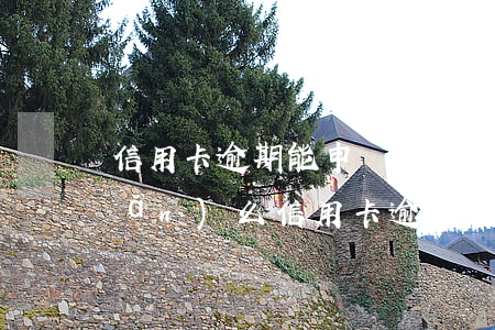 信用卡逾期能申請(qǐng)破產(chǎn)么(信用卡 逾期 后果)