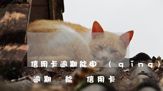 信用卡逾期能申請(qǐng)貸款嗎 貸款逾期過能辦信用卡嗎