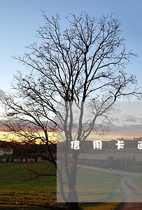 信用卡逾期能申請信用飛貸款嗎