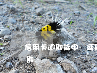 信用卡逾期能申請延期嗎(信用卡可以申請延期嗎)