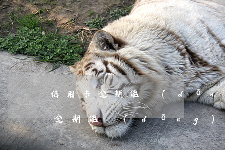 信用卡逾期能當(dāng)輔警么(信用卡逾期能當(dāng)輔警么知乎)