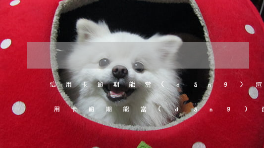 信用卡逾期能當(dāng)選村干部嗎(信用卡逾期能當(dāng)選村干部嗎)