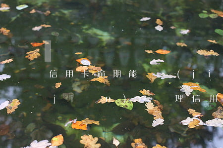 信用卡逾期能當監(jiān)事嗎 銀監(jiān)會處理信用卡逾期么