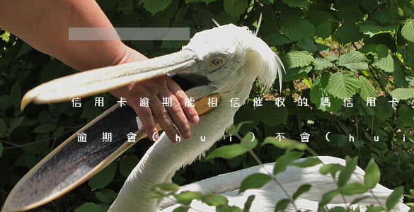 信用卡逾期能相信催收的嗎(信用卡,小額貸款逾期會(huì)不會(huì)上門催收)