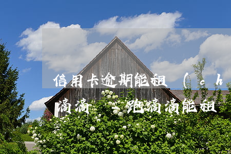 信用卡逾期能租車(chē)開(kāi)滴滴嗎-跑滴滴能租車(chē)嗎