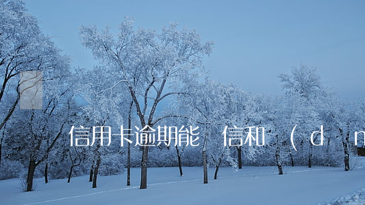 信用卡逾期能給信和擔(dān)保嗎