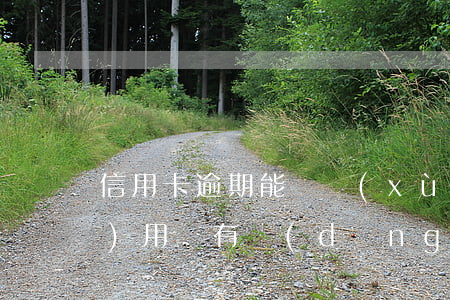 信用卡逾期能繼續(xù)申請(qǐng)用嗎(有當(dāng)前逾期可以申請(qǐng)信用卡嗎)