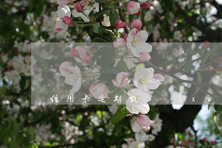 信用卡逾期能繼續(xù)辦理嗎