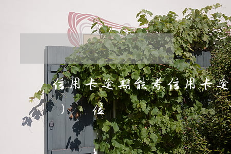 信用卡逾期能考 信用卡逾期能考事業(yè)單位嗎