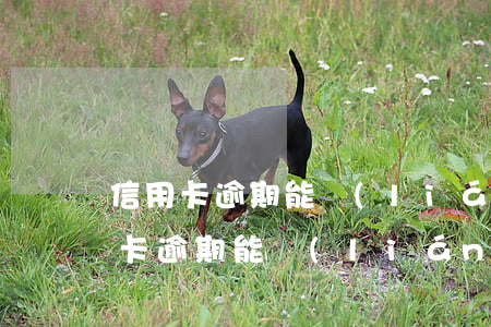 信用卡逾期能聯(lián)系上本人(信用卡逾期能聯(lián)系上本人的情況下聯(lián)系聯(lián)系人)