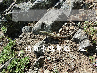 信用卡逾期能處理嗎 有信用卡逾期的嗎?