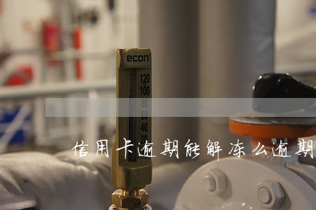 信用卡逾期能解冻么(逾期会冻结信用卡吗)