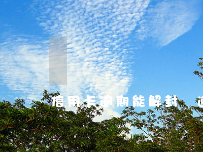信用卡逾期能解封嗎(逾期的信用卡怎么解凍)