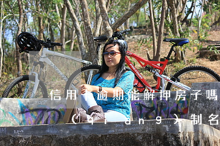 信用卡逾期能解押房子嗎(信用卡逾期會不會強(qiáng)制名下房產(chǎn)抵押)