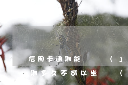 信用卡逾期能訂飛機(jī)票嗎(信用卡逾期多久不可以坐飛機(jī)嗎)