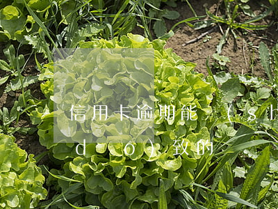 信用卡逾期能說(shuō)是做生意導(dǎo)致的嗎