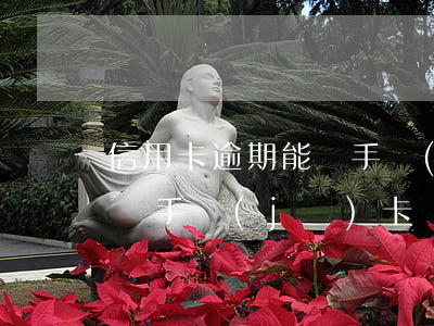 信用卡逾期能貸手機(jī)嗎(貸款逾期能辦手機(jī)卡嗎)