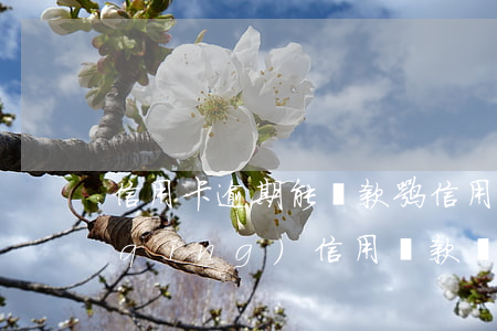 信用卡逾期能貸款嘛(信用卡逾期可以申請(qǐng)信用貸款嗎)