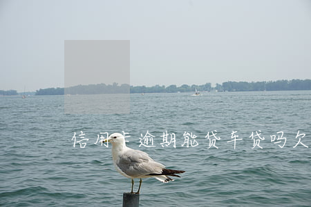 信用卡逾期能贷车贷吗 欠信用卡能车贷吗
