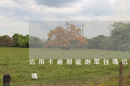 信用卡逾期能跑眾包嗎(信用卡逾期能跑眾包嗎)