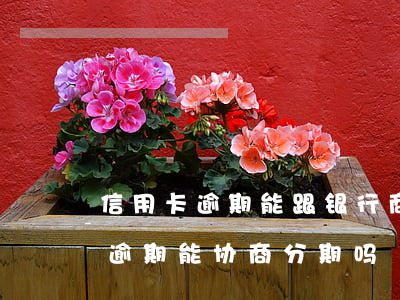 信用卡逾期能跟银行商量分期吗-银行贷款逾期能协商分期吗