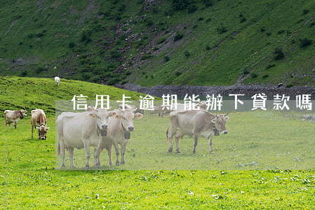 信用卡逾期能辦下貸款嗎