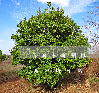 信用卡逾期能辦五險(xiǎn)一金嗎(信用不好可以辦理五險(xiǎn)一金嗎)