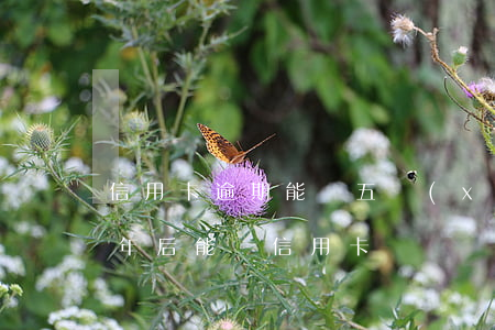 信用卡逾期能辦五險(xiǎn)嗎(逾期五年后能辦信用卡嗎)