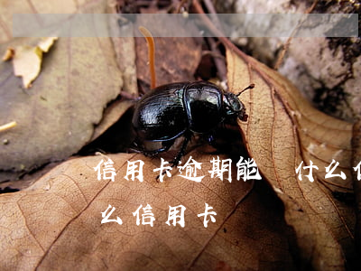 信用卡逾期能辦什么信用卡(有逾期可以辦什么信用卡)