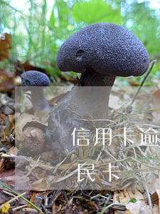 信用卡逾期能辦便民卡(征信有逾期可以辦便民卡嗎)