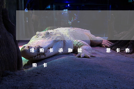 信用卡逾期能辦儲蓄卡(有逾期能不能辦理信用卡)