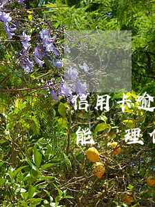信用卡逾期能辦公積金嗎(信用卡逾期幾次不能辦理住房公積金貸款)
