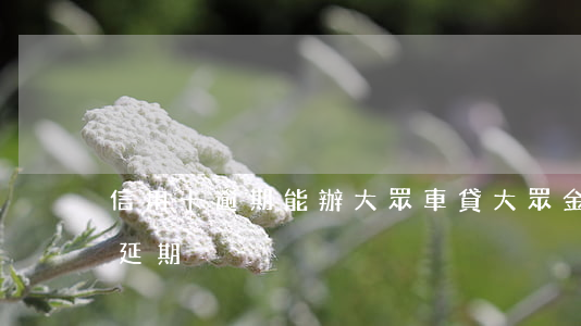 信用卡逾期能辦大眾車貸(大眾金融車貸申請延期)