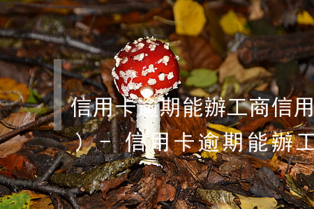 信用卡逾期能辦工商信用卡嗎中國(guó)-信用卡逾期能辦工商信用卡嗎中國(guó)銀行