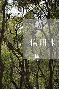 信用卡逾期能辦工資卡嗎(逾期后能辦信用卡嗎)