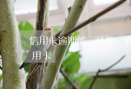 信用卡逾期能辦延期嗎(逾期多久可以辦理信用卡)