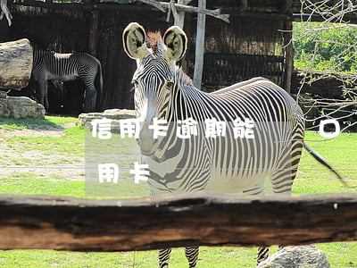 信用卡逾期能辦戶口嗎 有逾期能不能辦理信用卡