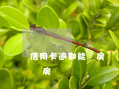 信用卡逾期能辦房貸嗎?(有一次信用卡逾期能辦房貸嗎)