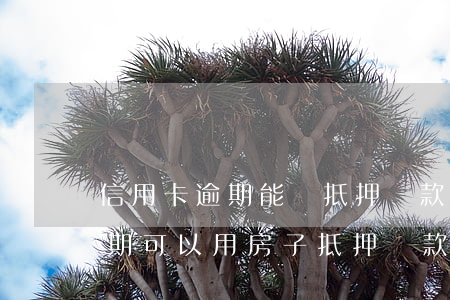 信用卡逾期能辦抵押貸款嗎(本人有信用卡逾期可以用房子抵押貸款嗎)