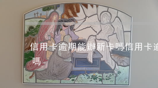 信用卡逾期能辦新卡嗎(信用卡逾期能辦新卡嗎)
