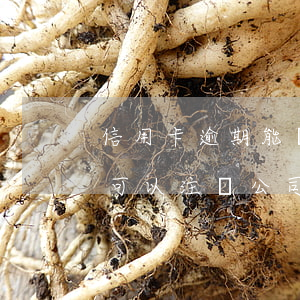 信用卡逾期能辦理公司開戶嗎 有信用卡逾期可以注冊公司嗎