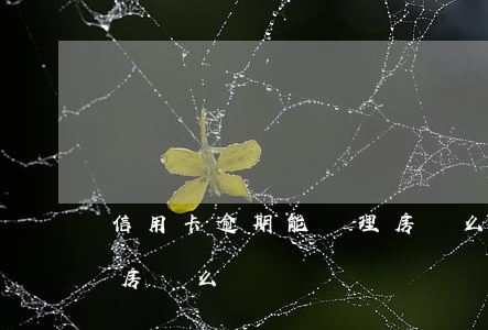 信用卡逾期能辦理房貸么(信用卡逾期能辦理房貸么)