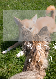 信用卡逾期能辦理捷信嗎(捷信逾期3個(gè)月會影響我現(xiàn)有的信用卡嗎?)