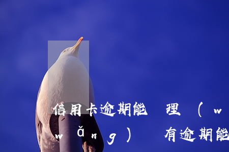 信用卡逾期能辦理網(wǎng)貸嗎 網(wǎng)貸有逾期能辦信用卡嗎