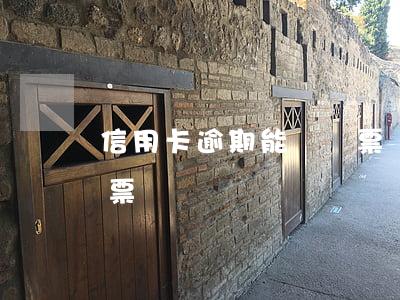 信用卡逾期能辦車票嗎(征信逾期能購買火車票嗎)