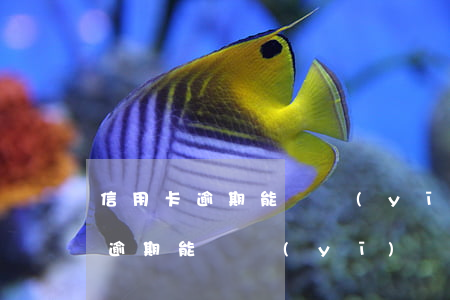 信用卡逾期能辦醫(yī)療保險嗎(信用卡逾期能辦醫(yī)療保險嗎)