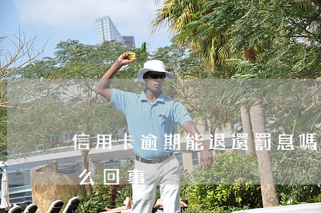 信用卡逾期能退還罰息嗎 退信用卡罰息是怎么回事