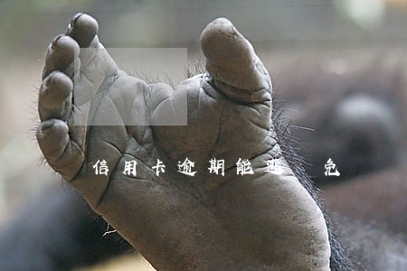 信用卡逾期能逃減免嗎